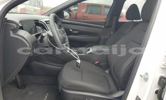 Buy New Hyundai Santa Fe White Car in Lagos in Lagos State Buy New Hyundai Santa Fe White Car in Lagos in Lagos State