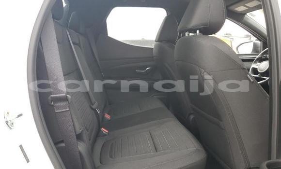 Buy New Hyundai Santa Fe White Car in Lagos in Lagos State Buy New Hyundai Santa Fe White Car in Lagos in Lagos State