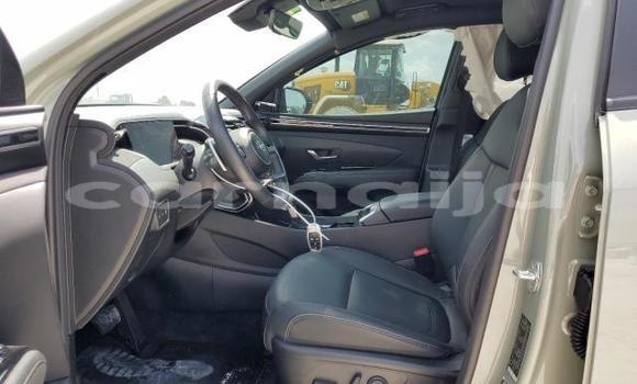 Acheter Neuf Voiture Hyundai Santa Fe Vert à Lagos, État de Lagos Acheter Neuf Voiture Hyundai Santa Fe Vert à Lagos, État de Lagos