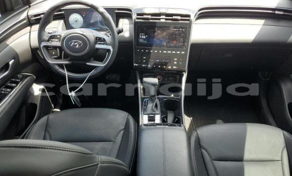 Acheter Neuf Voiture Hyundai Santa Fe Vert à Lagos, État de Lagos Acheter Neuf Voiture Hyundai Santa Fe Vert à Lagos, État de Lagos