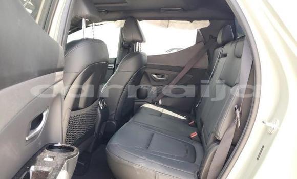 Acheter Neuf Voiture Hyundai Santa Fe Vert à Lagos, État de Lagos Acheter Neuf Voiture Hyundai Santa Fe Vert à Lagos, État de Lagos