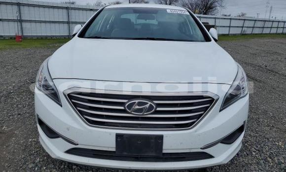 Acheter Neuf Voiture Hyundai Sonata Blanc à Lagos, État de Lagos Acheter Neuf Voiture Hyundai Sonata Blanc à Lagos, État de Lagos