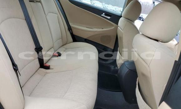 Buy New Hyundai Sonata Brown Car in Lagos in Lagos State Buy New Hyundai Sonata Brown Car in Lagos in Lagos State