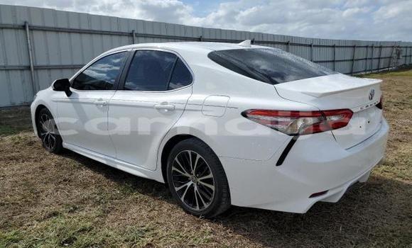 Acheter Neuf Voiture Toyota Camry Blanc à Badagry, État de Lagos Acheter Neuf Voiture Toyota Camry Blanc à Badagry, État de Lagos