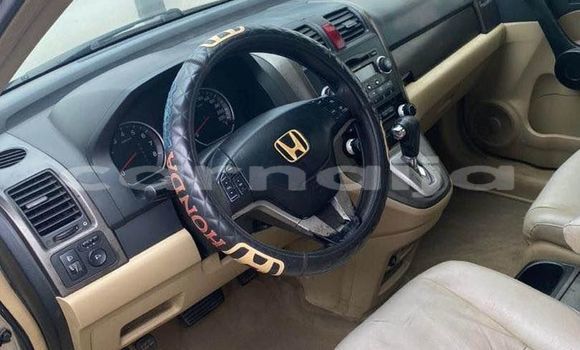 Buy Used Honda CR–V Other Car in Abakaliki in Ebonyi State Buy Used Honda CR–V Other Car in Abakaliki in Ebonyi State