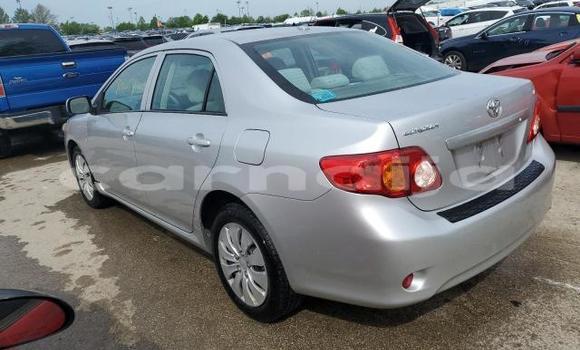 Acheter Neuf Voiture Toyota Corolla Autre à Badagry, État de Lagos Acheter Neuf Voiture Toyota Corolla Autre à Badagry, État de Lagos