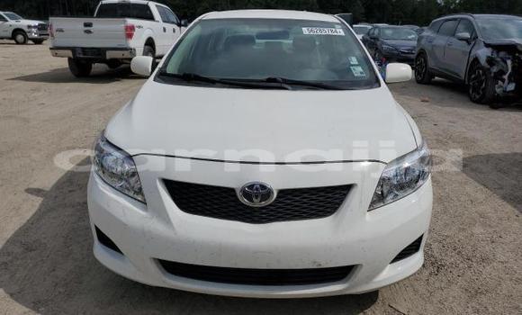Acheter Neuf Voiture Toyota Corolla Blanc à Badagry, État de Lagos