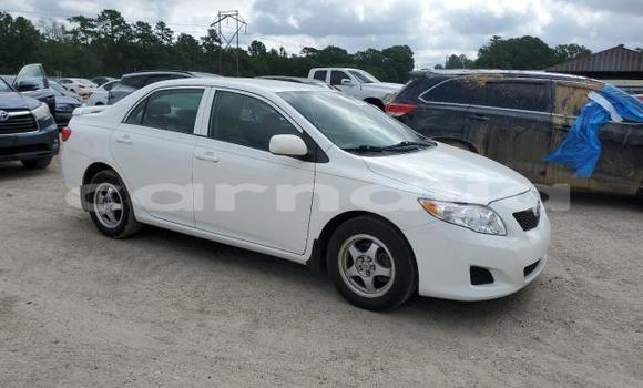 Acheter Neuf Voiture Toyota Corolla Blanc à Badagry, État de Lagos Acheter Neuf Voiture Toyota Corolla Blanc à Badagry, État de Lagos