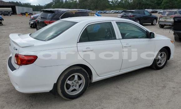 Acheter Neuf Voiture Toyota Corolla Blanc à Badagry, État de Lagos Acheter Neuf Voiture Toyota Corolla Blanc à Badagry, État de Lagos