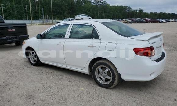 Acheter Neuf Voiture Toyota Corolla Blanc à Badagry, État de Lagos Acheter Neuf Voiture Toyota Corolla Blanc à Badagry, État de Lagos
