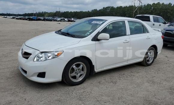 Acheter Neuf Voiture Toyota Corolla Blanc à Badagry, État de Lagos Acheter Neuf Voiture Toyota Corolla Blanc à Badagry, État de Lagos