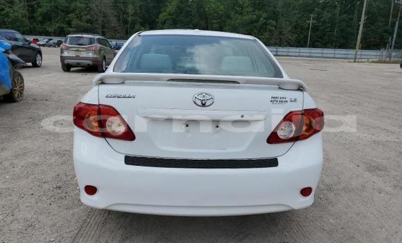 Acheter Neuf Voiture Toyota Corolla Blanc à Badagry, État de Lagos Acheter Neuf Voiture Toyota Corolla Blanc à Badagry, État de Lagos