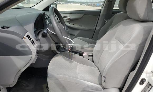 Acheter Neuf Voiture Toyota Corolla Blanc à Badagry, État de Lagos Acheter Neuf Voiture Toyota Corolla Blanc à Badagry, État de Lagos