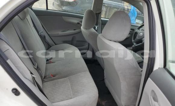 Acheter Neuf Voiture Toyota Corolla Blanc à Badagry, État de Lagos Acheter Neuf Voiture Toyota Corolla Blanc à Badagry, État de Lagos