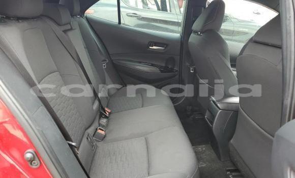 Acheter Neuf Voiture Toyota Corolla Spacio Rouge à Badagry, État de Lagos Acheter Neuf Voiture Toyota Corolla Spacio Rouge à Badagry, État de Lagos
