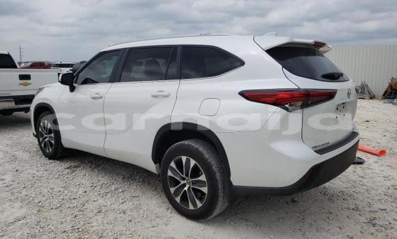 Acheter Neuf Voiture Toyota Highlander Blanc à Badagry, État de Lagos Acheter Neuf Voiture Toyota Highlander Blanc à Badagry, État de Lagos