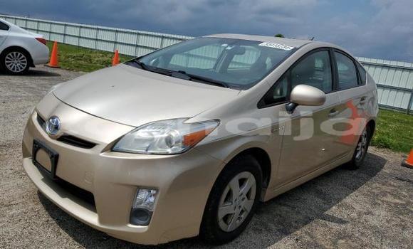 Acheter Neuf Voiture Toyota Prius Gris à Badagry, État de Lagos Acheter Neuf Voiture Toyota Prius Gris à Badagry, État de Lagos