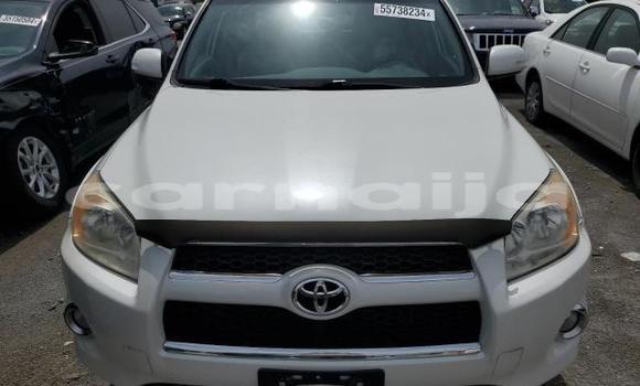 Acheter Neuf Voiture Toyota RAV4 Blanc à Badagry, État de Lagos Acheter Neuf Voiture Toyota RAV4 Blanc à Badagry, État de Lagos