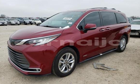Buy New Toyota Sienna Red Car in Lagos in Lagos State Buy New Toyota Sienna Red Car in Lagos in Lagos State