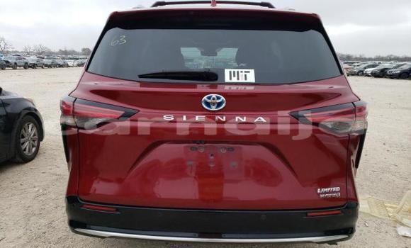 Buy New Toyota Sienna Red Car in Lagos in Lagos State Buy New Toyota Sienna Red Car in Lagos in Lagos State