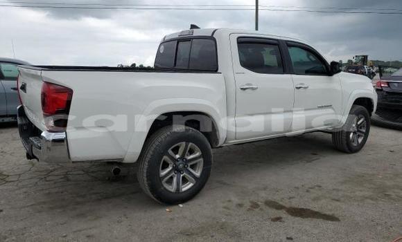 Acheter Neuf Voiture Toyota Tacoma Blanc à Lagos, État de Lagos Acheter Neuf Voiture Toyota Tacoma Blanc à Lagos, État de Lagos