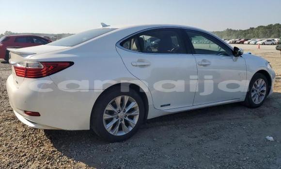 Buy New Lexus ES 300 White Car in Badagry in Lagos State Buy New Lexus ES 300 White Car in Badagry in Lagos State