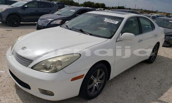 Acheter Neuf Voiture Lexus ES Blanc à Badagry, État de Lagos Acheter Neuf Voiture Lexus ES Blanc à Badagry, État de Lagos