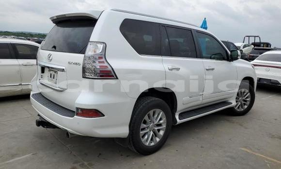 Buy New Lexus GX White Car in Badagry in Lagos State Buy New Lexus GX White Car in Badagry in Lagos State