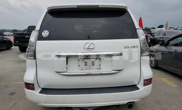 Buy New Lexus GX White Car in Badagry in Lagos State Buy New Lexus GX White Car in Badagry in Lagos State