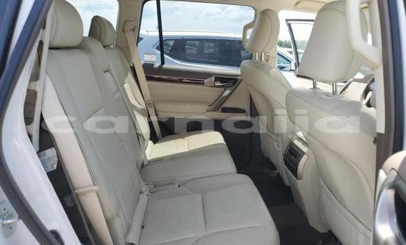 Buy New Lexus GX White Car in Badagry in Lagos State Buy New Lexus GX White Car in Badagry in Lagos State