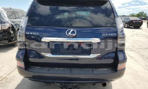 Acheter Neuf Voiture Lexus GX Bleu à Badagry, État de Lagos Acheter Neuf Voiture Lexus GX Bleu à Badagry, État de Lagos