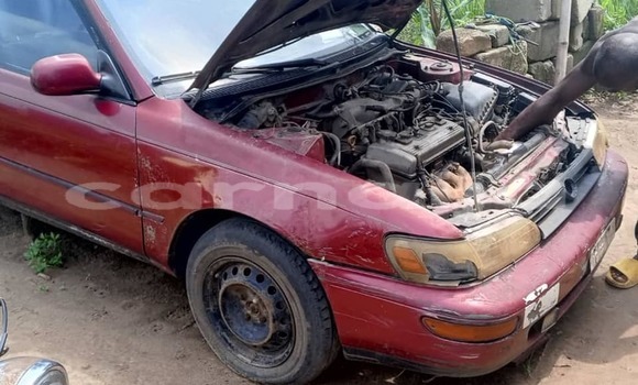 Buy Used Toyota Corolla Red Car in Abuja in Lagos State Buy Used Toyota Corolla Red Car in Abuja in Lagos State
