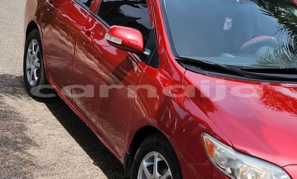 Acheter Occasion Voiture Toyota Corolla Rouge à Abuja, État de Lagos Acheter Occasion Voiture Toyota Corolla Rouge à Abuja, État de Lagos