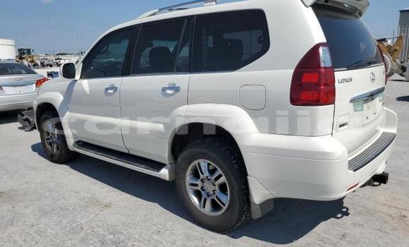 Buy New Lexus GX White Car in Badagry in Lagos State Buy New Lexus GX White Car in Badagry in Lagos State