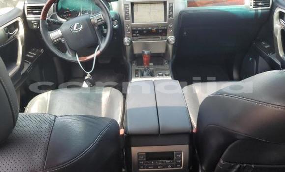Buy New Lexus GX White Car in Badagry in Lagos State Buy New Lexus GX White Car in Badagry in Lagos State