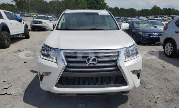 Buy New Lexus GX White Car in Badagry in Lagos State