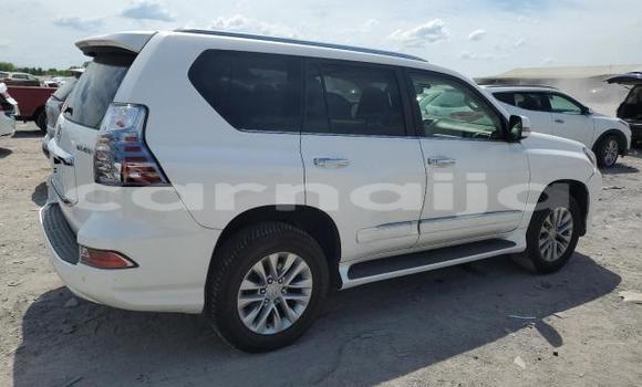 Acheter Neuf Voiture Lexus GX Blanc à Badagry, État de Lagos Acheter Neuf Voiture Lexus GX Blanc à Badagry, État de Lagos