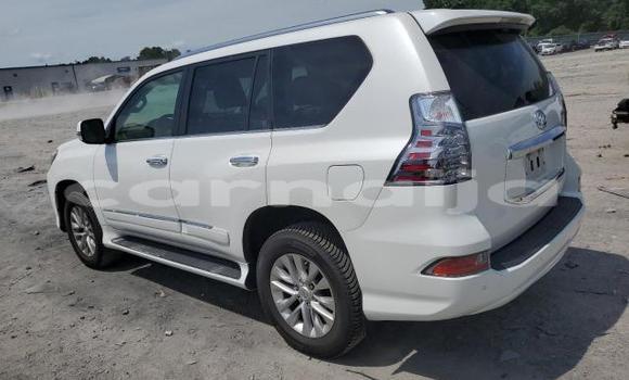 Acheter Neuf Voiture Lexus GX Blanc à Badagry, État de Lagos Acheter Neuf Voiture Lexus GX Blanc à Badagry, État de Lagos