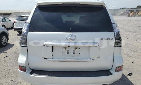 Acheter Neuf Voiture Lexus GX Blanc à Badagry, État de Lagos Acheter Neuf Voiture Lexus GX Blanc à Badagry, État de Lagos