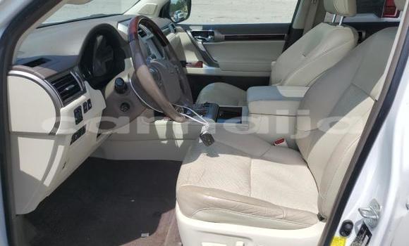 Acheter Neuf Voiture Lexus GX Blanc à Badagry, État de Lagos Acheter Neuf Voiture Lexus GX Blanc à Badagry, État de Lagos