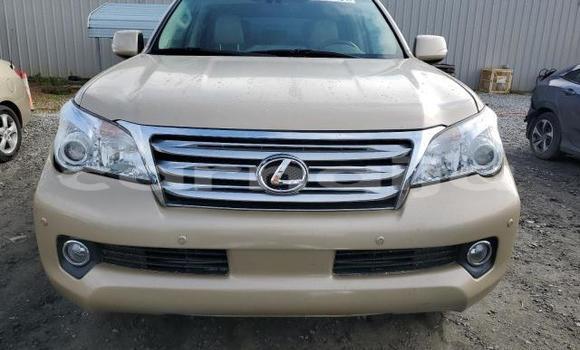 Buy New Lexus GX Beige Car in Badagry in Lagos State Buy New Lexus GX Beige Car in Badagry in Lagos State