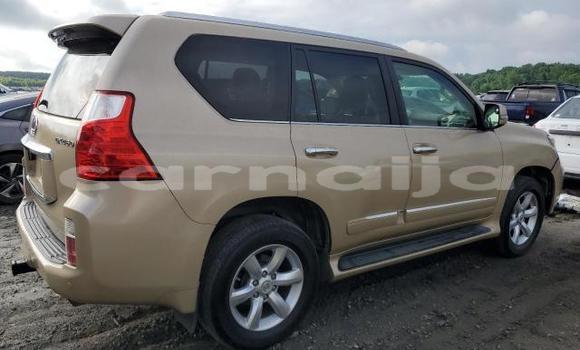 Acheter Neuf Voiture Lexus GX Beige à Badagry, État de Lagos Acheter Neuf Voiture Lexus GX Beige à Badagry, État de Lagos