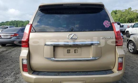 Acheter Neuf Voiture Lexus GX Beige à Badagry, État de Lagos Acheter Neuf Voiture Lexus GX Beige à Badagry, État de Lagos