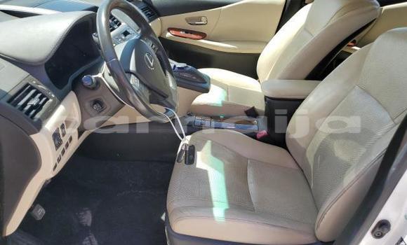 Buy New Lexus HS White Car in Badagry in Lagos State Buy New Lexus HS White Car in Badagry in Lagos State