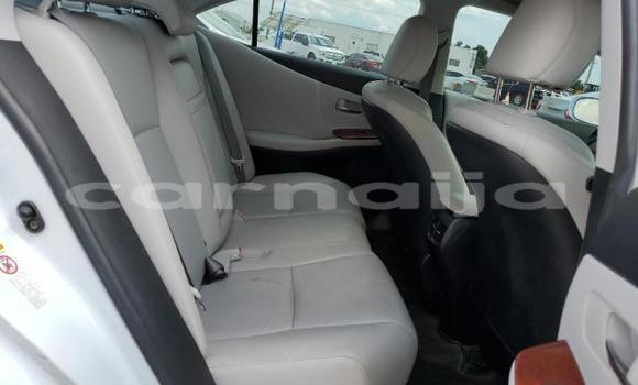 Buy New Lexus HS White Car in Badagry in Lagos State Buy New Lexus HS White Car in Badagry in Lagos State