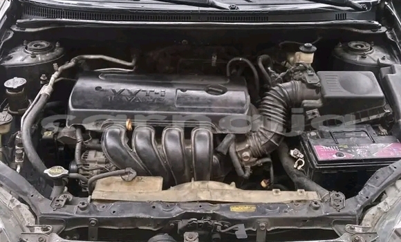 Acheter Occasion Voiture Toyota Corolla Autre à Adogo, État de Kogi