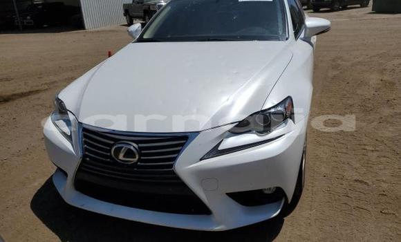 Buy New Lexus IS White Car in Badagry in Lagos State