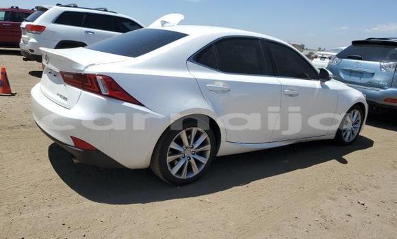 Buy New Lexus IS White Car in Badagry in Lagos State Buy New Lexus IS White Car in Badagry in Lagos State