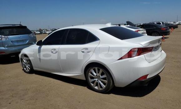 Buy New Lexus IS White Car in Badagry in Lagos State Buy New Lexus IS White Car in Badagry in Lagos State