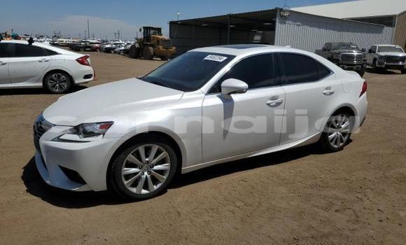 Buy New Lexus IS White Car in Badagry in Lagos State Buy New Lexus IS White Car in Badagry in Lagos State